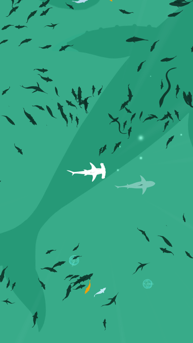 Shoal of fish screenshot1