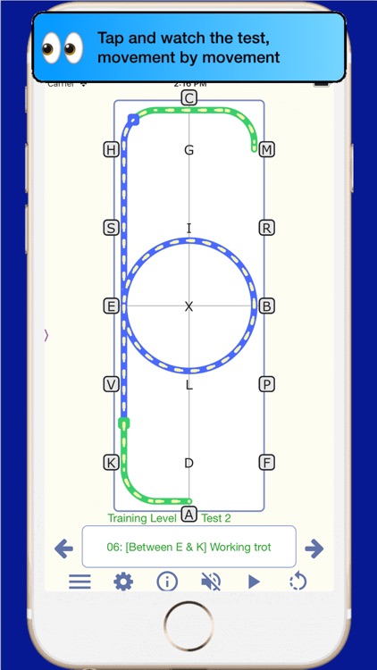 TestPro US Dressage Federation screenshot-4