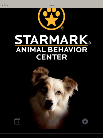 Скриншот из Starmark