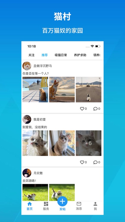 猫村-有爱的宠物猫咪社区