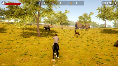 Westland Cowboy Rodeo Rider screenshot 3