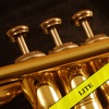 Icon Trumpet Pro Lite