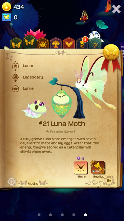 Flutter: Starlight screenshot-3