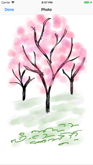 Whimsical Trees(圖4)-速報App