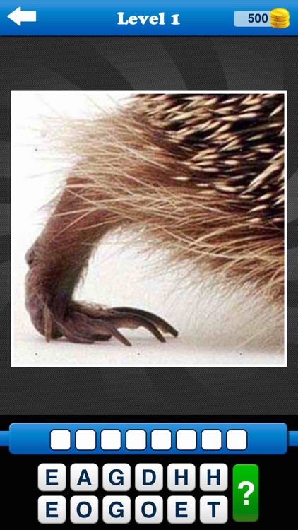 Guess the Close Up - Pics Quiz screenshot-3