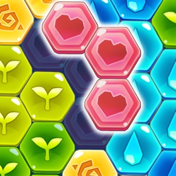 Block Hexa Puzzle : My Flower