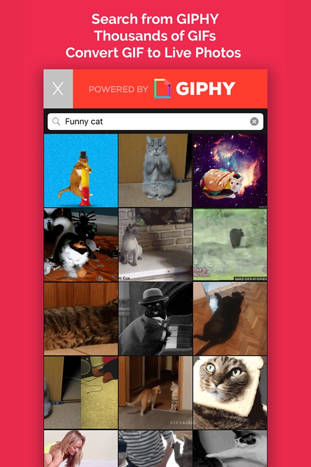 LivGIF - Discover &Convert GIF screenshot 2