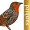 *** This mobile field guide includes all 2,311 bird species found in the Northern part of South America covering the countries Ecuador, Colombia, Venezuela, Suriname, Guyana, French Guiana, Trinidad & Tobago and the Northern parts of Brazil and Peru
