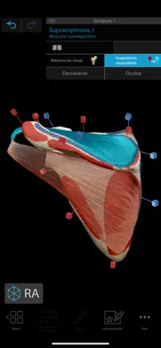 Captura de Pantalla 3 Atlas de anatomía humana 2021 iphone