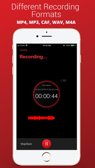 Recorder Plus : Voice Recorder screenshot 4