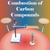 Combustion of Carbon Compounds
