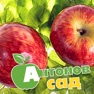 Get Антонов сад for iOS, iPhone, iPad Aso Report