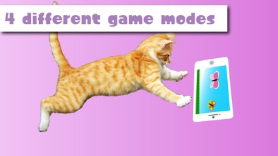 Internet Spiele Für Katzen