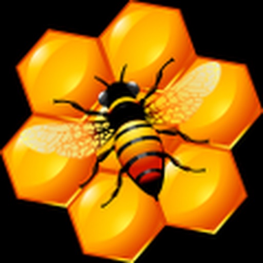 Icy Bee icon