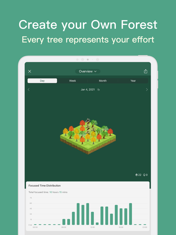 Forest - Restez Concentré Forest - Restez Concentré