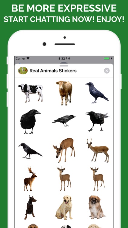 Real Animals Emoji Stickers