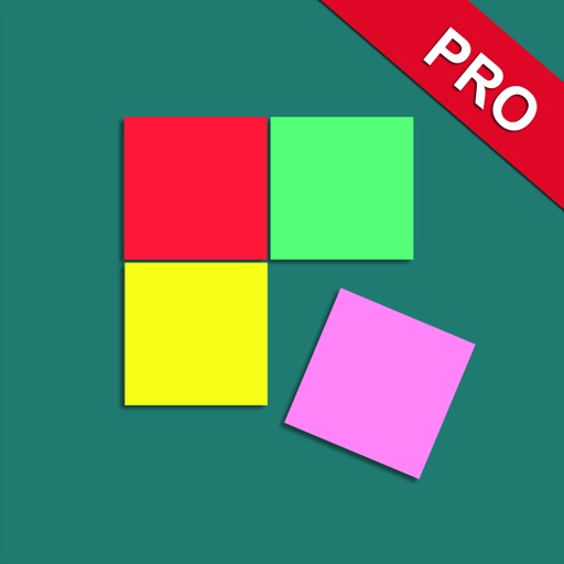 Puzzles Pro