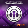 Learn Audio For Media Composer