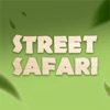Street Safari