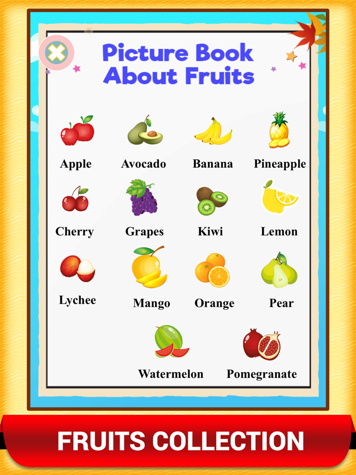 Kids Picture Dictionary Book