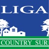 Liga Country Sur