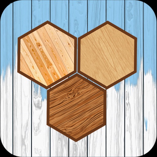 Hexa Wooden Block Puzzle!