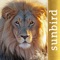 Look no further: 544 species, select your destination country and the app will only display the occurring animals in your region