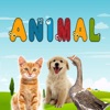 Animal Puzzle Games & Learning