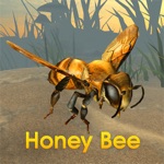 Honey Bee Simulator