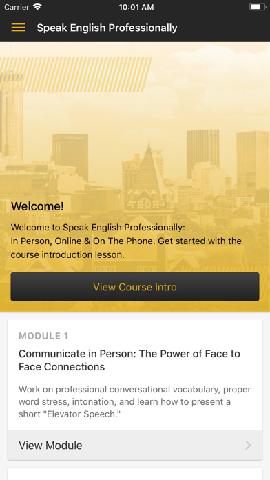 Speak English Professionally screenshot 2