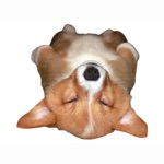 Swag Animal Stickers