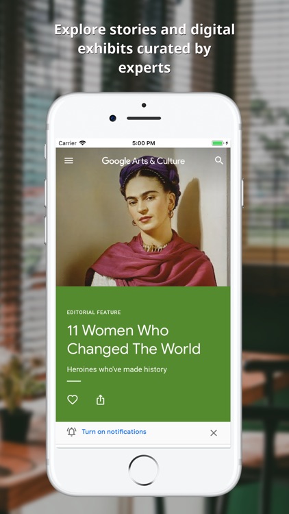 Google Arts & Culture screenshot-5