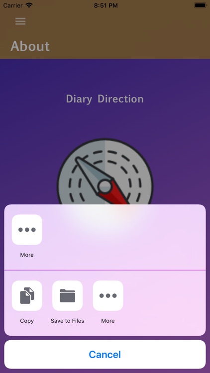 Diary Direction screenshot-6