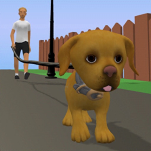 Walk the dog 3D