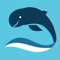 Marine mammal app allows users to capture an image of a mammal, determine if it is dead or alive, identify its species and report the sightings