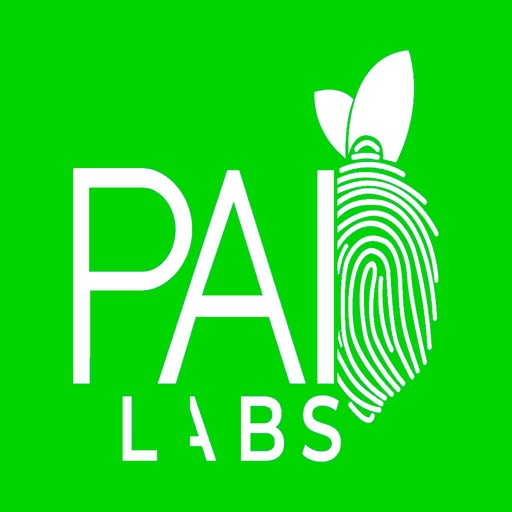 Pai Labs