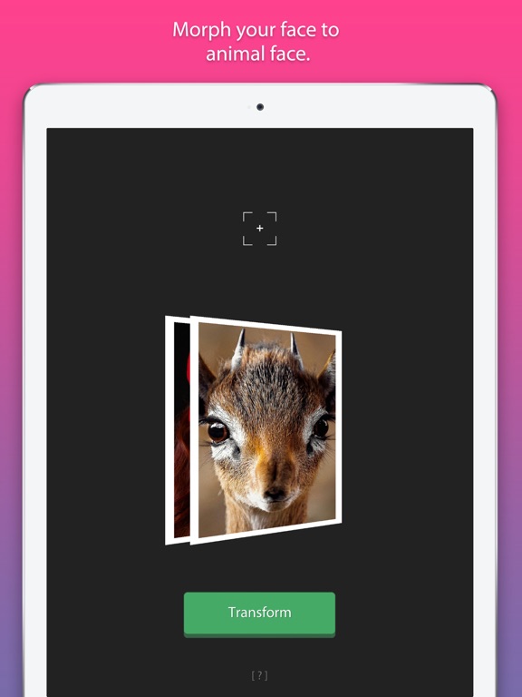 Screenshot #5 pour Face Transformer (Face MORPH)