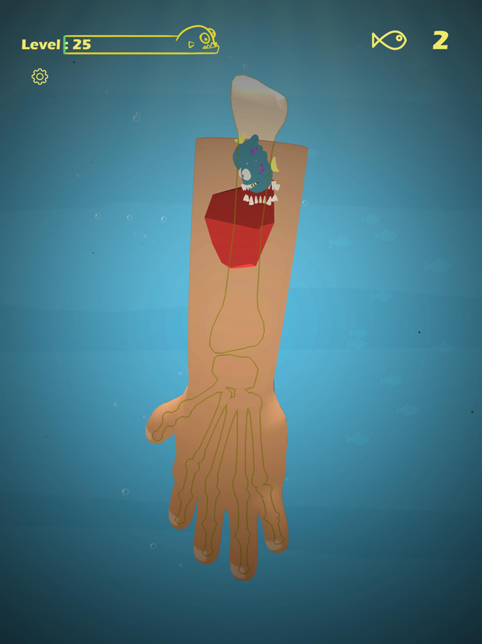 Piranhas Fast  Feast