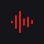 MP3转换器-专业的视频转音频提取器