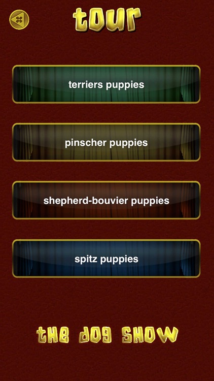 The Dog Show screenshot-3