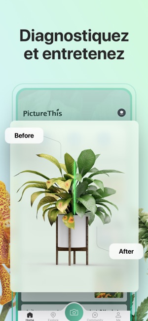 Picturethis Identifier Plantes Dans L App Store