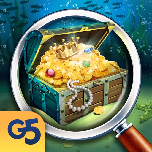 The Hidden Treasures: Mystery