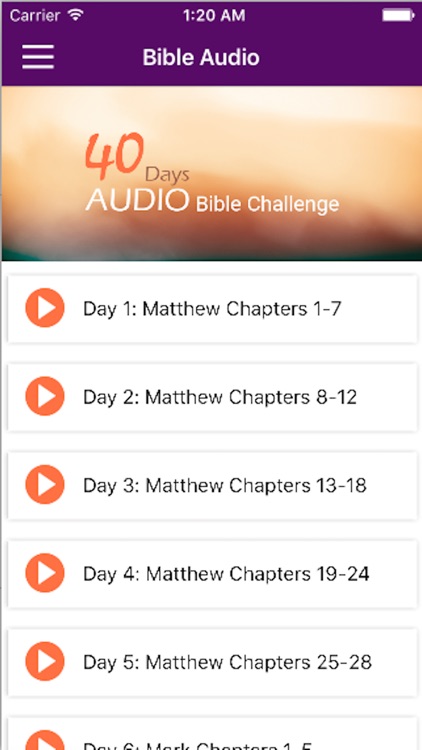 40 Days Bible Challenge