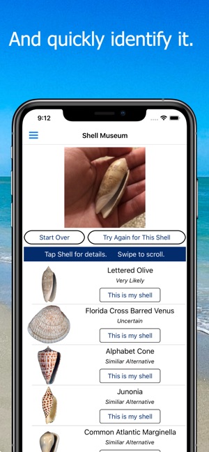 Shell Museum: Identify Shells(圖3)-速報App