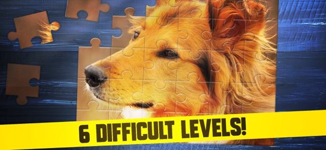 Cute Dogs Puppy Jigsaw Puzzle(圖2)-速報App