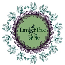 Limber Tree Yoga Studio