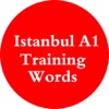 Istanbul A1 - Training words
