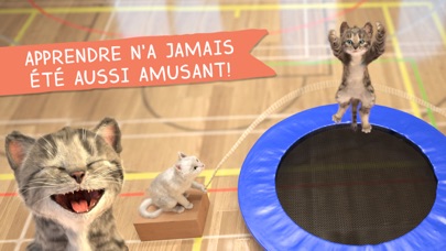Petit Chaton & ses amis ! Petit Chaton & ses amis !