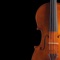 The first and only playable violin app for iPad in App Store