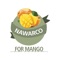 Satisfy your cravings with the finest Mangos in K-town